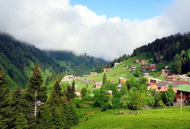 Daily Rize Handuzu Plateau Tour