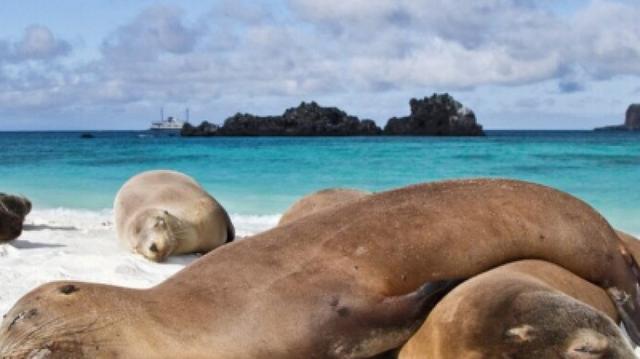 10 Days Galapagos Island Hopping in Santa Cruz and Isabela