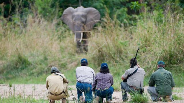 5 Days Exploring Luangwa’s Unspoilt Wilderness On Walking Safari