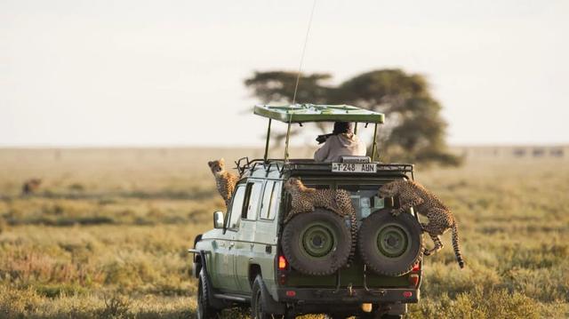 9 Days Tanzania Migration Safari