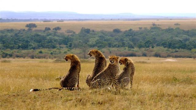 Epic Kenya Active Adventure Safari Booking 12 Days