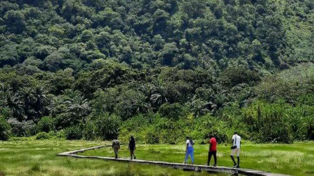 8 Days Rwenzori Mountain Trekking Expeditions