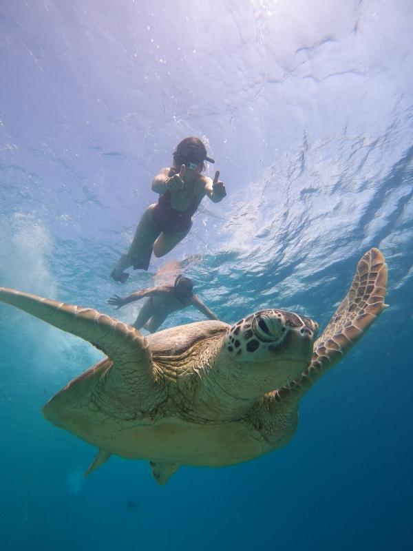 From Lombok: Full Day Snorkeling Day Trip to North 3 Gilis (Trawangan, Meno, Air)