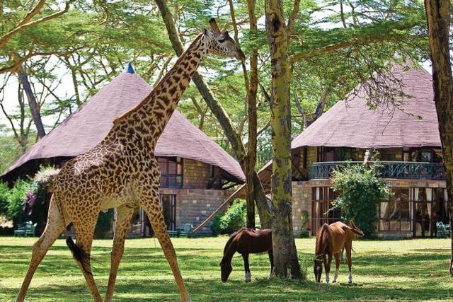 6 Days Kenya medium range Joining Safari