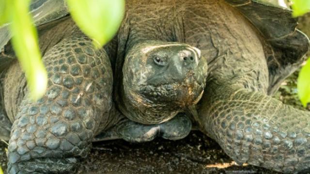 Galapagos Relax 8 Days Tour