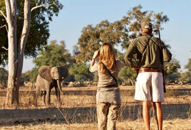 4 Days Sable Valley Lodge Safari Game Drives