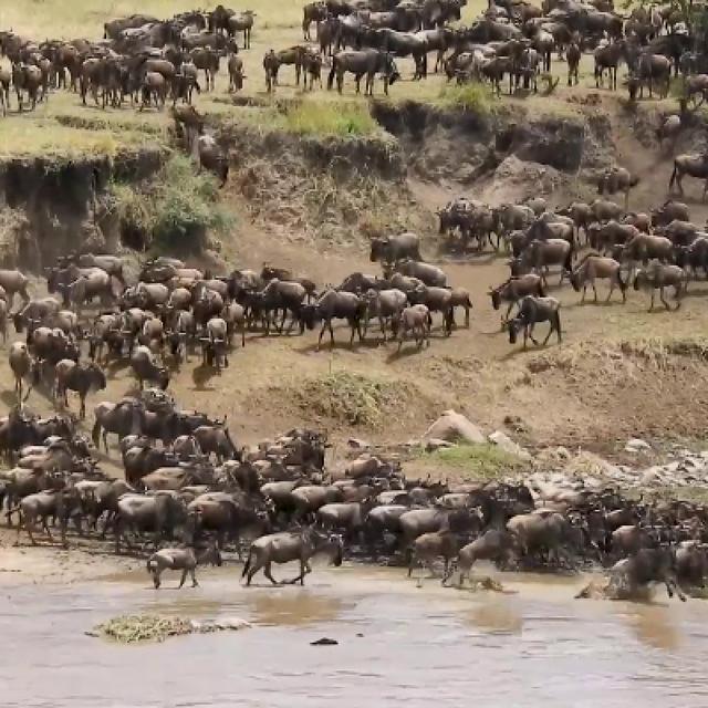 Safari Nyati - Northern Tanzania Escape