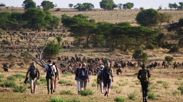 8 Days Tarangire, Serengeti, Ngorongoro Crater and Lake Eyasi