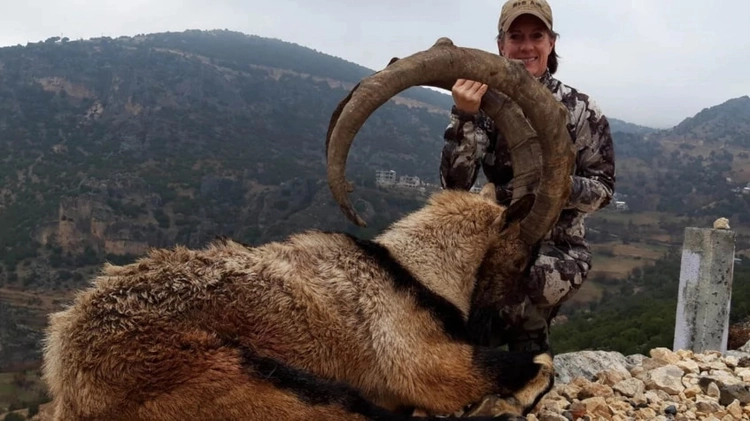 7 Days Hunting Bezoar Ibex Package Antalya